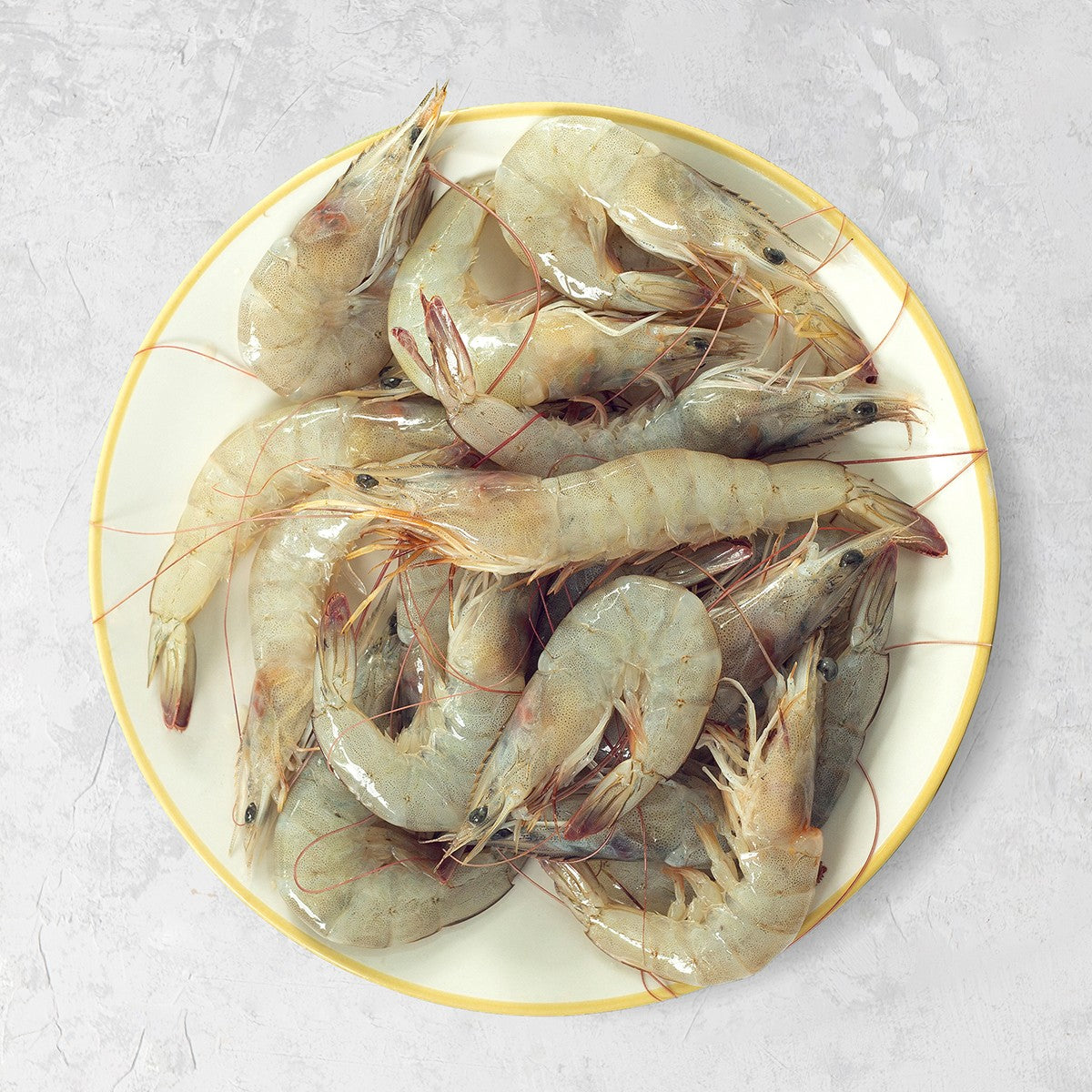 Shrimp Large Smooth Hoop