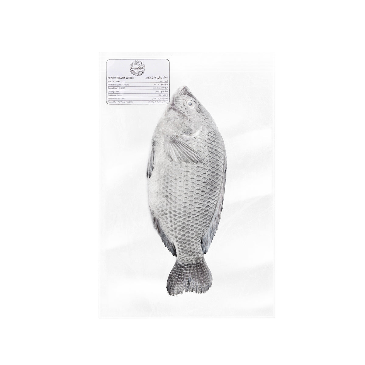 Tilapia Fish Taiwan 400-600gms