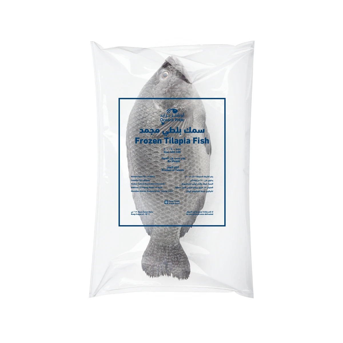 Tilapia Fish