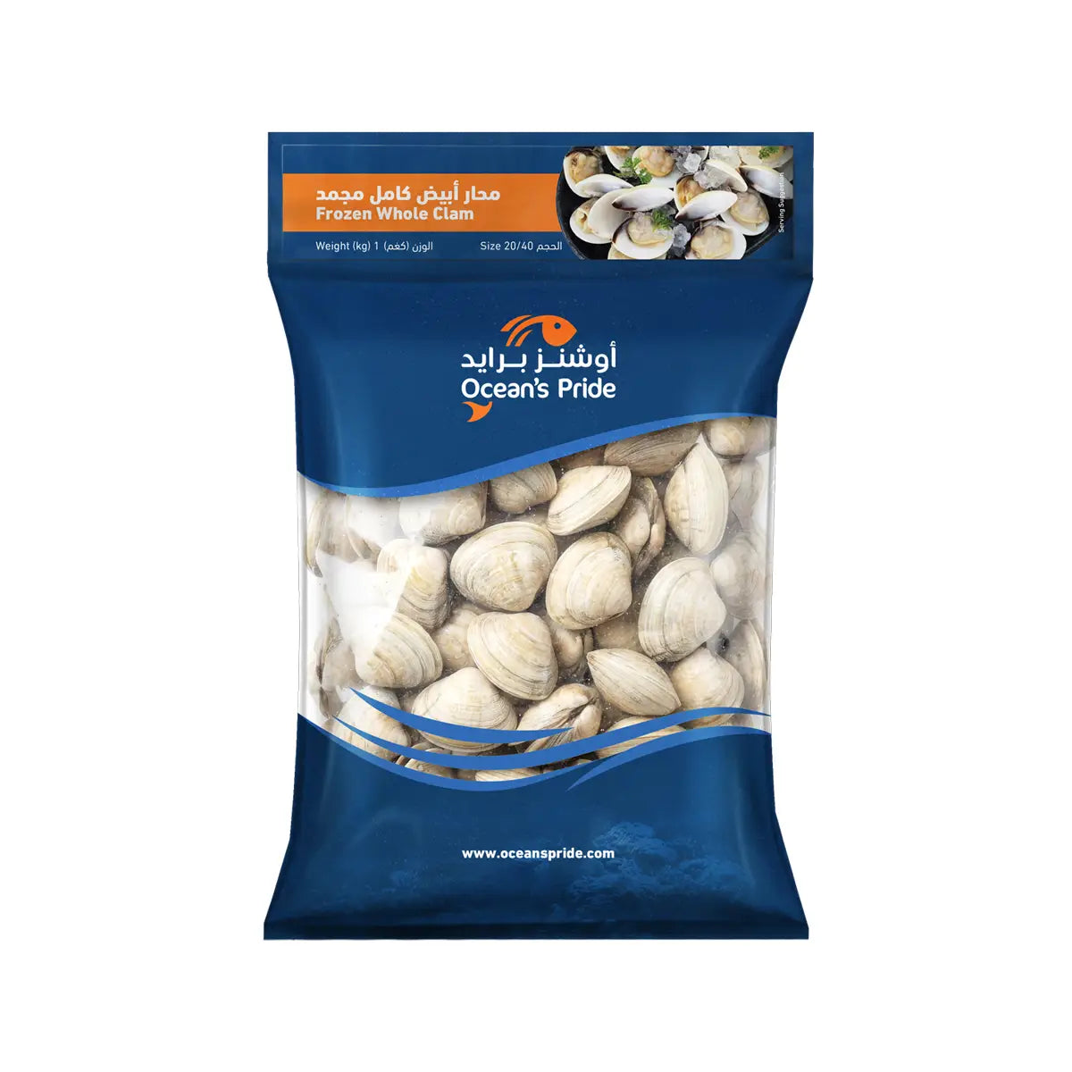 White Whole Clams 20/40 1kg