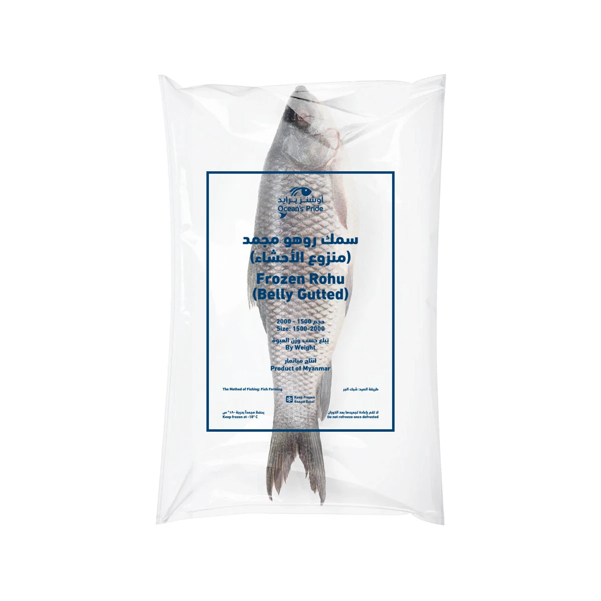 Rohu Fish Carton 20kg