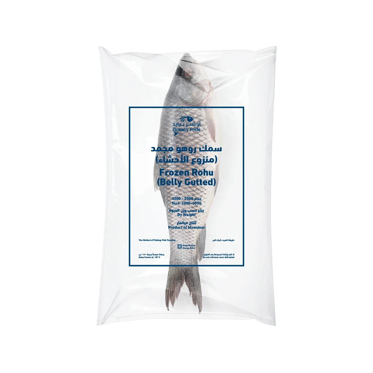 Rohu Fish Carton 20kg
