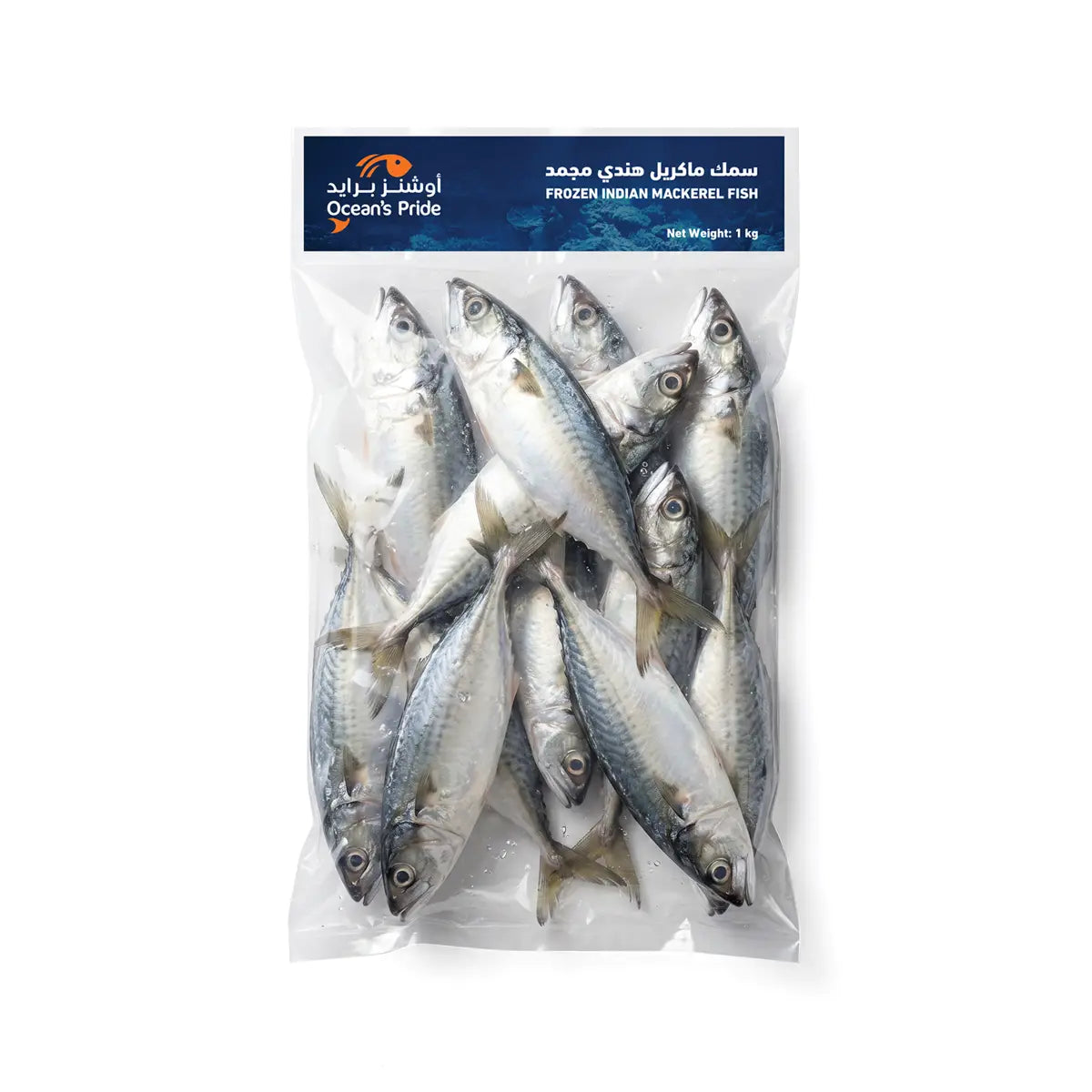 Mackerel Fish (8/10) 1kg