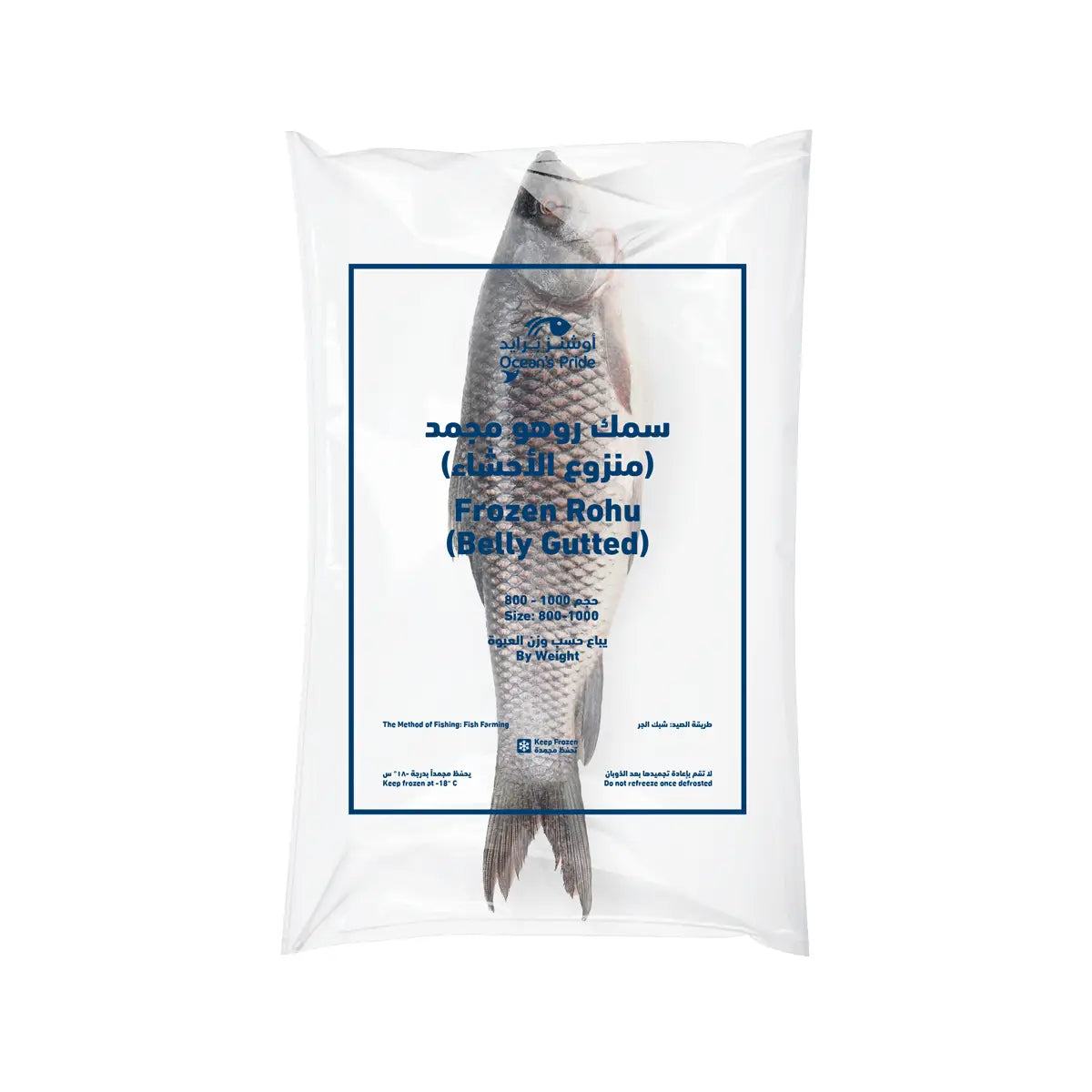 Rohu Fish Carton 20kg